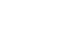 logo da brik
